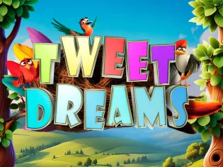 Tweet Dreams game cover